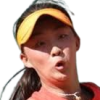 Wang J.