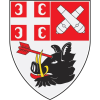 Radnicki W